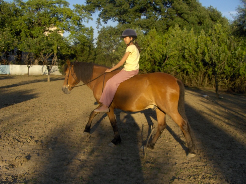 Concour photos "Notre cheval et nous en action" Farouq10