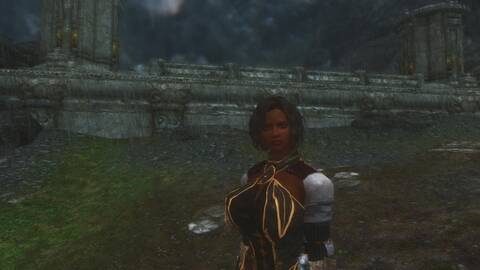 skyrim essential followers mod skyrim essential followers mod