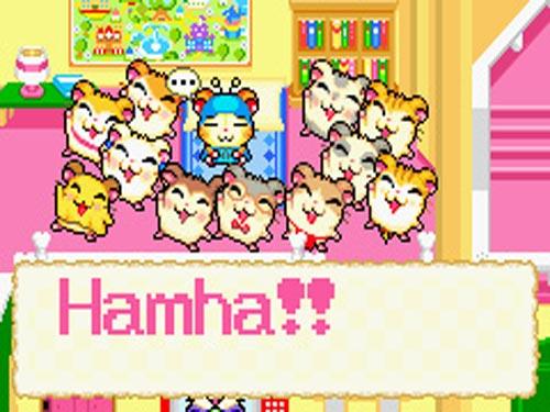 Hamtaro Rainbow Rescue 58237810