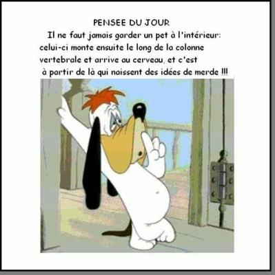 La pense du jour... Droopy10