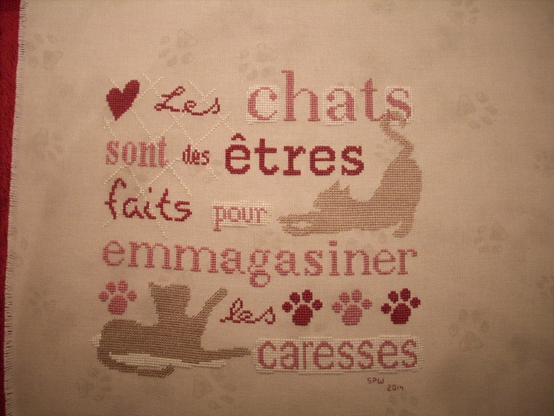 Sal LLP les chats - FINI Dscn3310