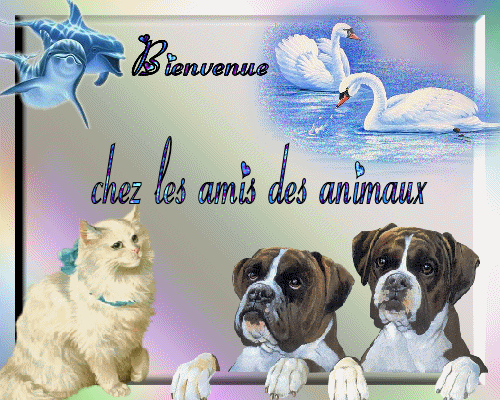 Bienvenue à Sandramiky Bienve26