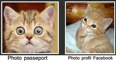 Photo passeport- Photo FB Photo_15