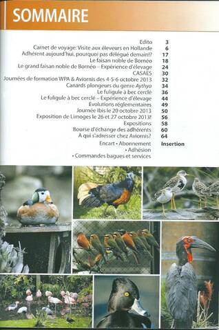 AVIORNIS FRANCE. - Page 2