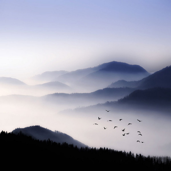 Vẻ đẹp huyền ảo của những đám sương mù mỏng manh Suong_29