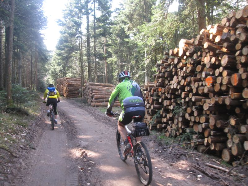 VTT dans les Vosges - secteur du lac des truites Img_0348