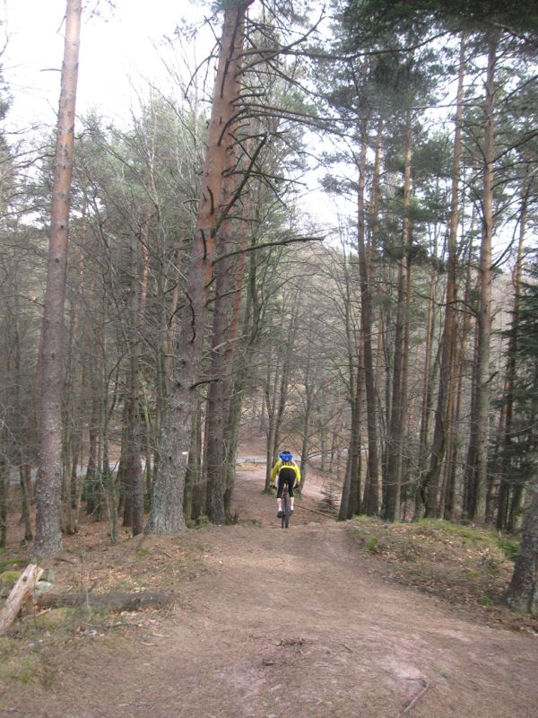 VTT dans les Vosges - secteur du lac des truites Img_0367