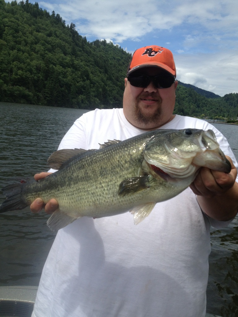 hey guys lets see your bigest bass of the year  15610