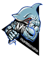 [Nuitblanche]/[Blanchaos]/[Chaos] Requin10