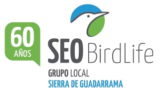 SEO SIERRA DE GUADARRAMA 