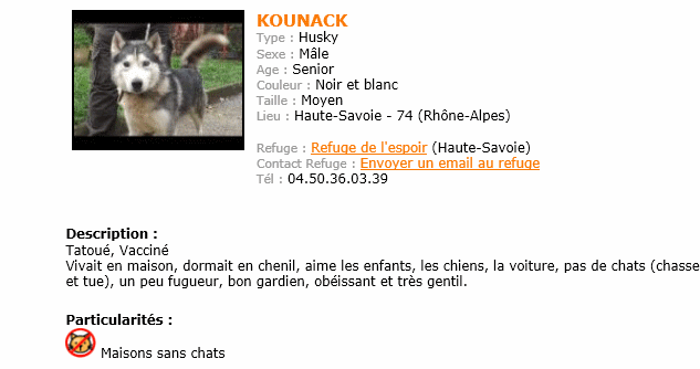 KOUNACK Husky 18/08/2005/ noir et blanc  REF:74  ADOPTE Sans_t30