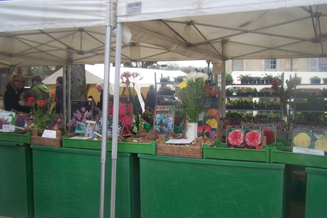 Foire aux plantes rares La Ferté  La_fer53