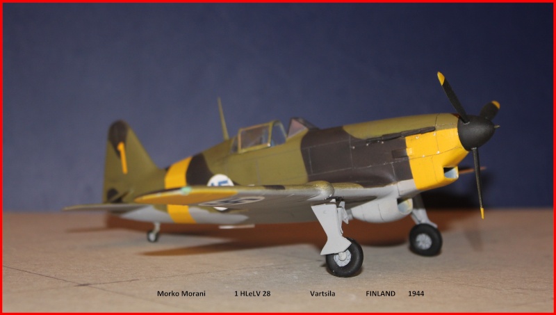 *1/48   MORKO MORANI  MPM     Img_2212