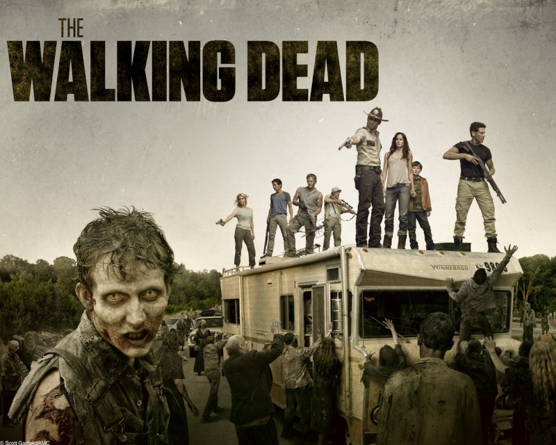 The Walking Dead Walkin10