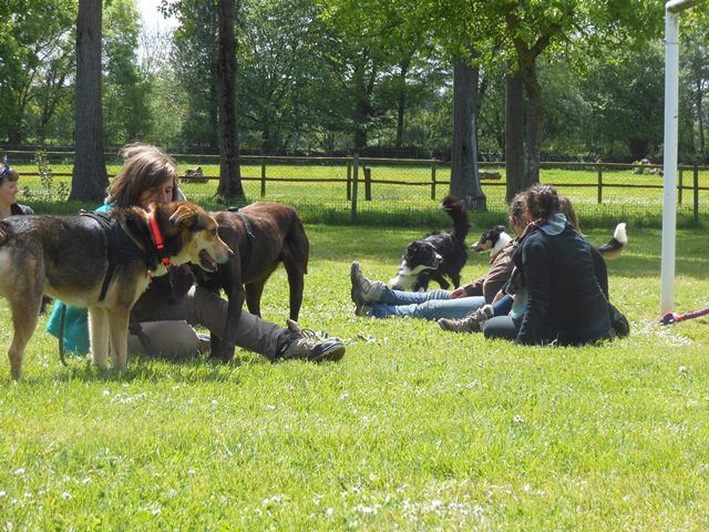 Journée Photo / Formation / Balade Chien  - Page 6 Dscn3840