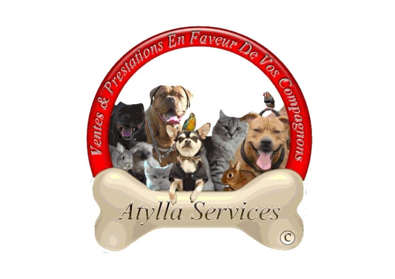 Atylla Services 000111