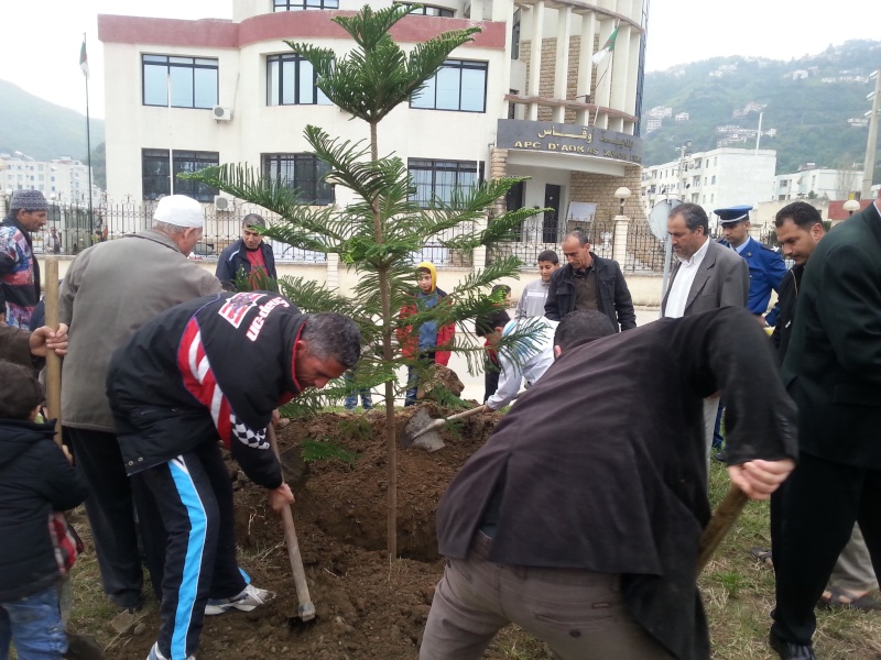 Aokas célèbre la Journée mondiale de l’arbre 21 Mars 2014 20140318