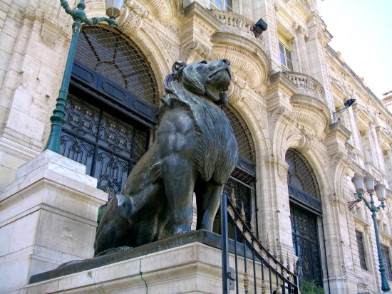 oran - Les lions de l'Hôtel de ville d'Oran  19b78510