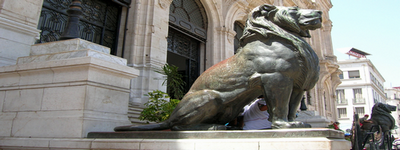 oran - Les lions de l'Hôtel de ville d'Oran  Sans_t11