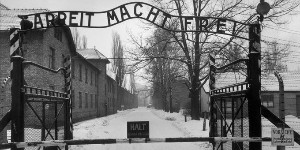 La traque d'Auschwitz continue Auschw10