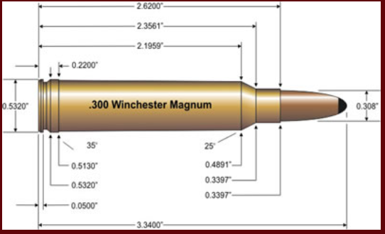 7,5 x55 Swiss 300wm10