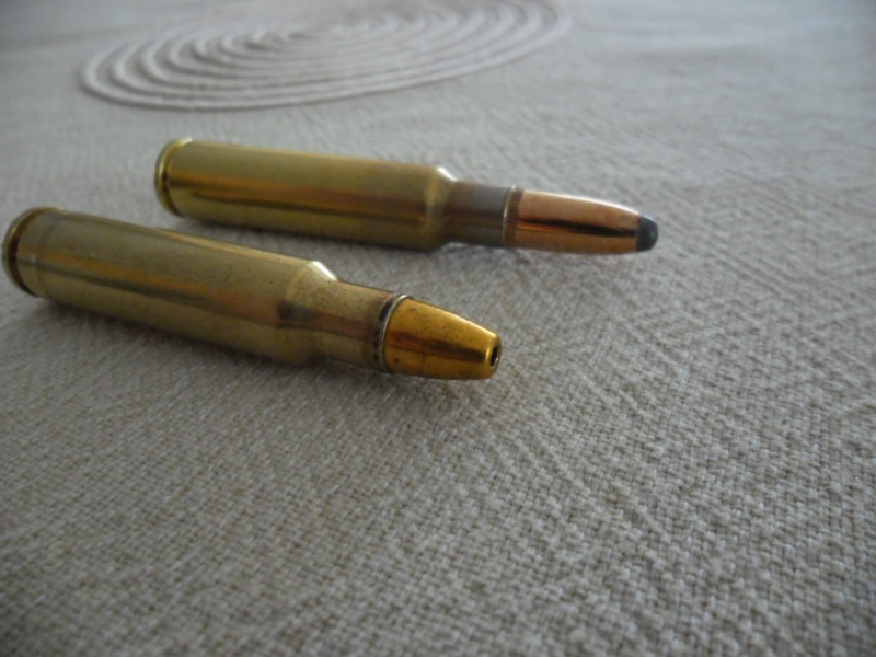 7,5 x55 Swiss Sam_3112
