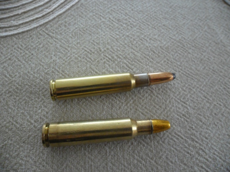 7,5 x55 Swiss Sam_3113