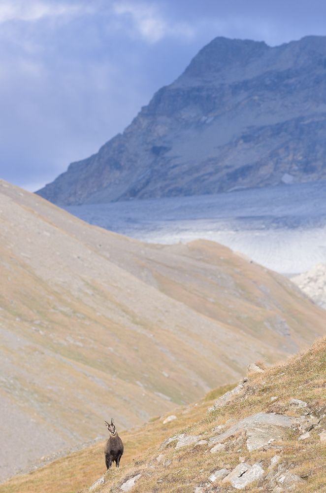 Août et début septembre dans les Alpes Imgp4017