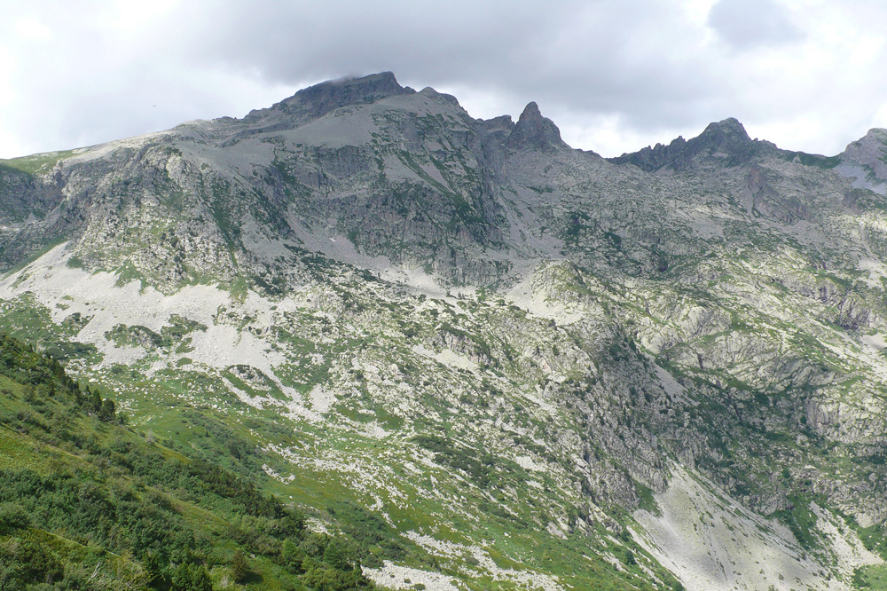 Visite dans le Parco naturale Alpi Marittime 22/07 L1300621