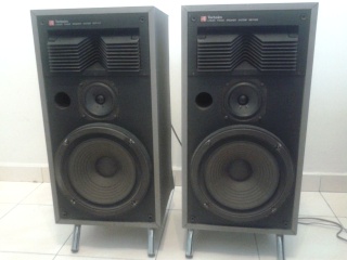 Technics Linear Phase Horn Speaker - preloved T210