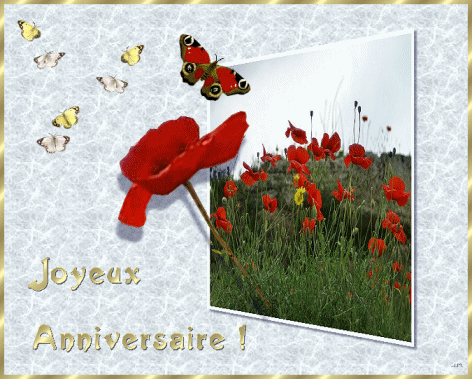 Joyeux anniversaire Ptit Lutin (Severine !!!!) 70199813