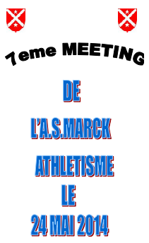 Meeting de Marck en Calaisis (62): 3000/5000: 24/5/2014 Marck_11