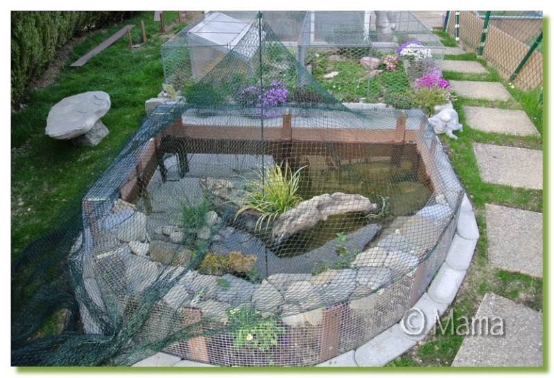 Exemples de bassins extérieurs pour aquatiques Filet_10