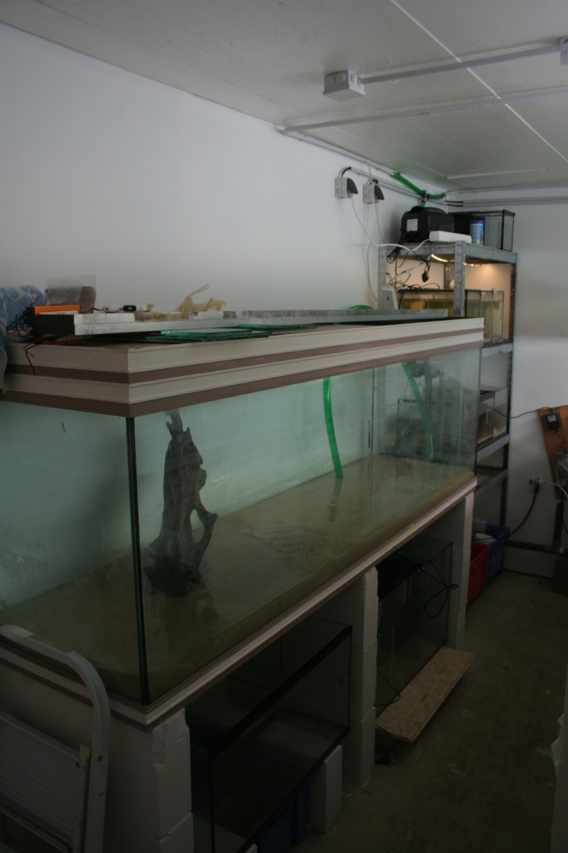 Fishroom MD Img_8517