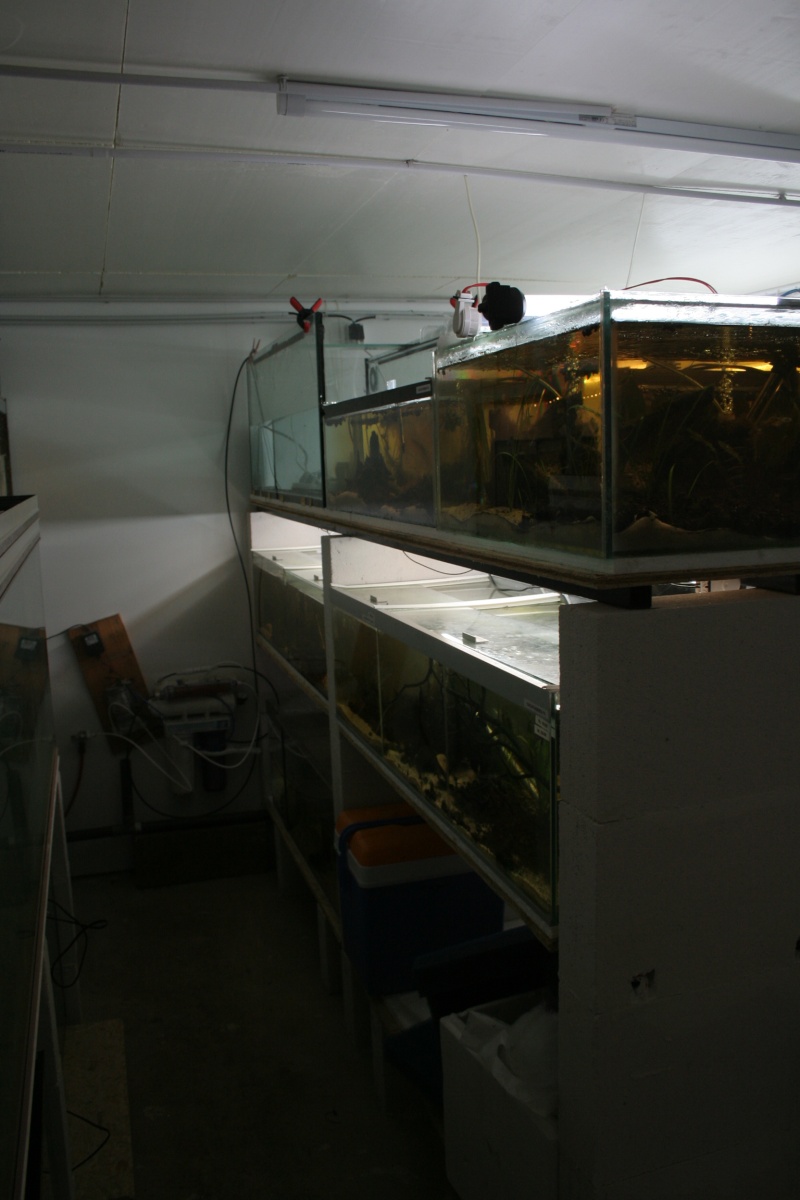 Fishroom MD Img_8519