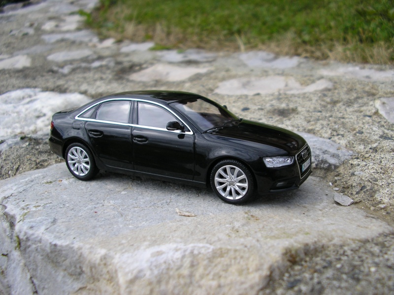 AUDI P1011010