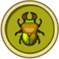 [Liste] Toutes les informations concernant les insectes Lucane11