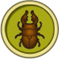 [Liste] Toutes les informations concernant les insectes Lucane13