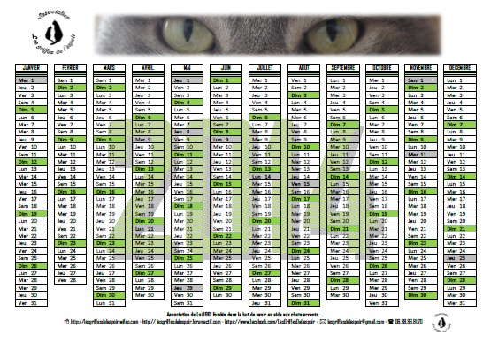 Calendriers 2014 Modale10