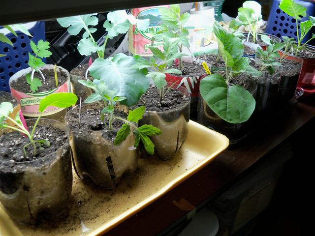 Soil Block Makers Air-pr14