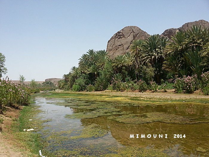 Suivez Mimouni junior sur les traces de nos ancestres Amazigh , Marrakech Merzouga Rissani dades - Page 2 Mimoun61