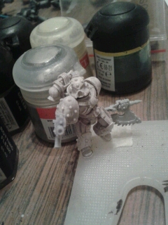 Carcharodons 2014-025