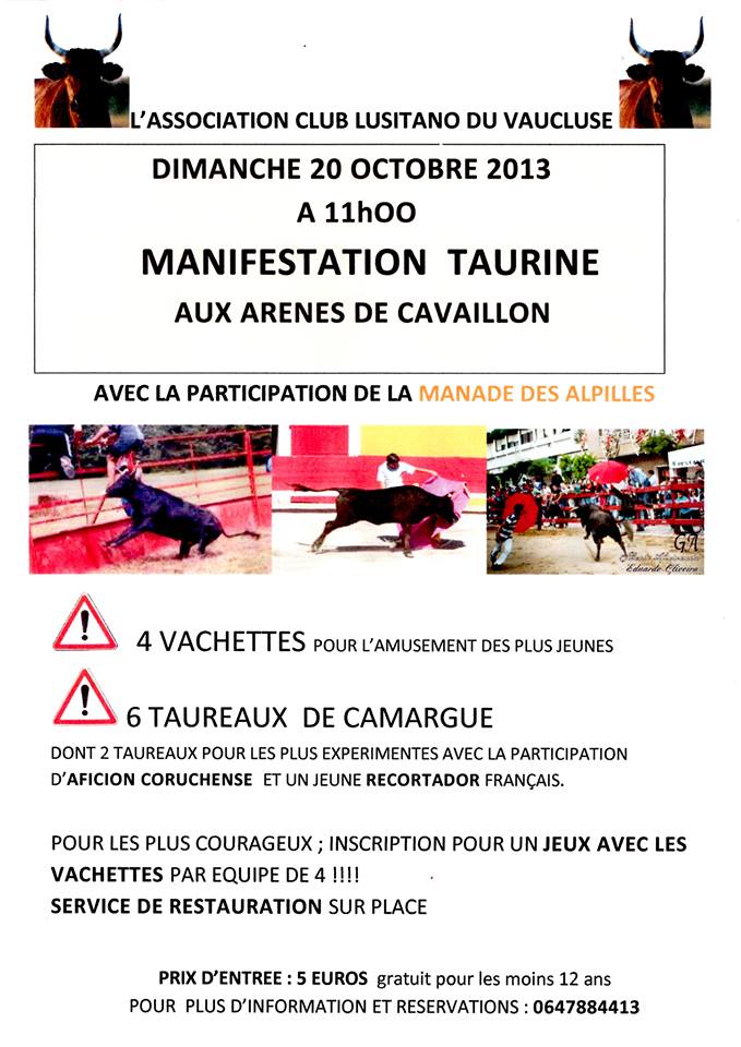 Journée taurine à Cavaillon le 20 octobre Afiche10