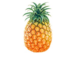 Matraquage. Ananas10