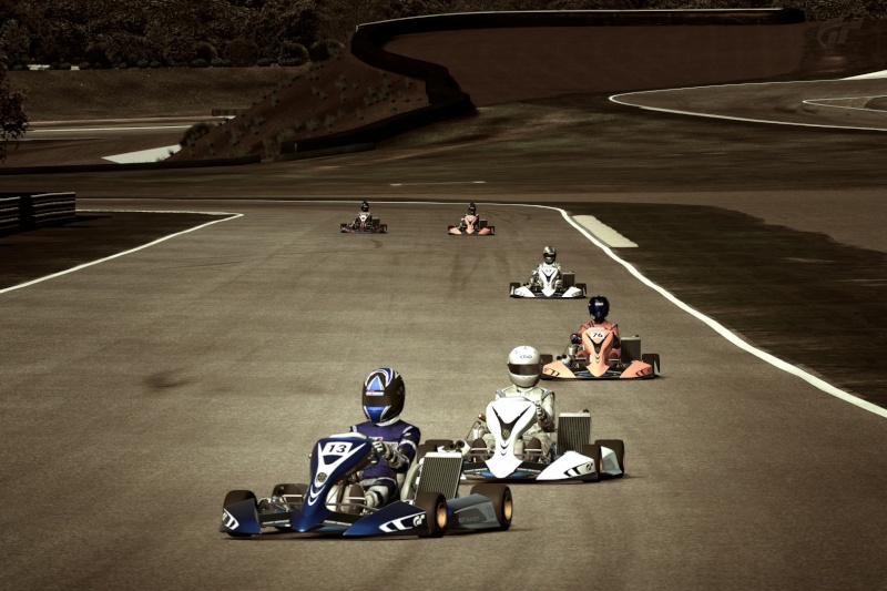 31/03/2014 - Championnat kart des furieux, courses 9&10 - Deep Forest & Ascari Ascari22