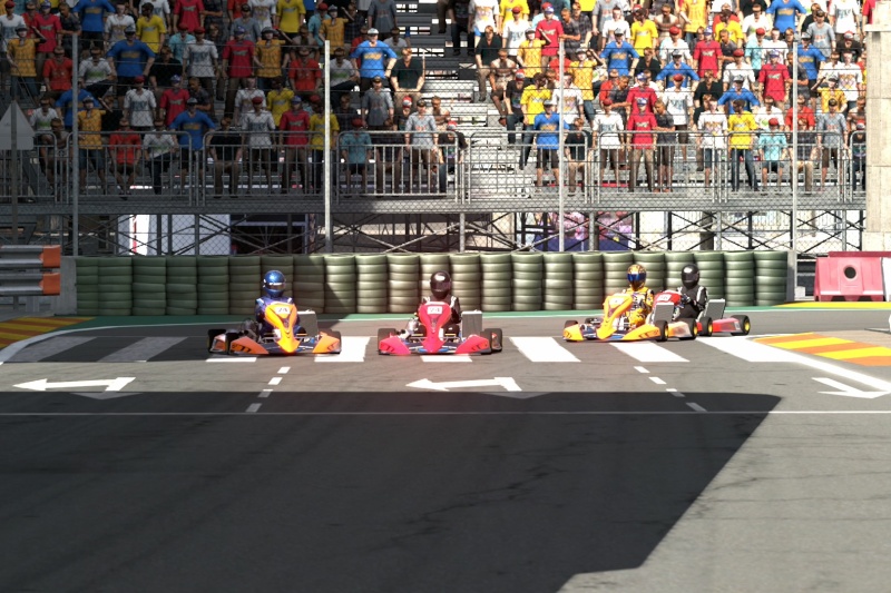 03/01/2014 - Championnat kart des furieux, courses 1&2 - Madrid & Cape Ring Circu127