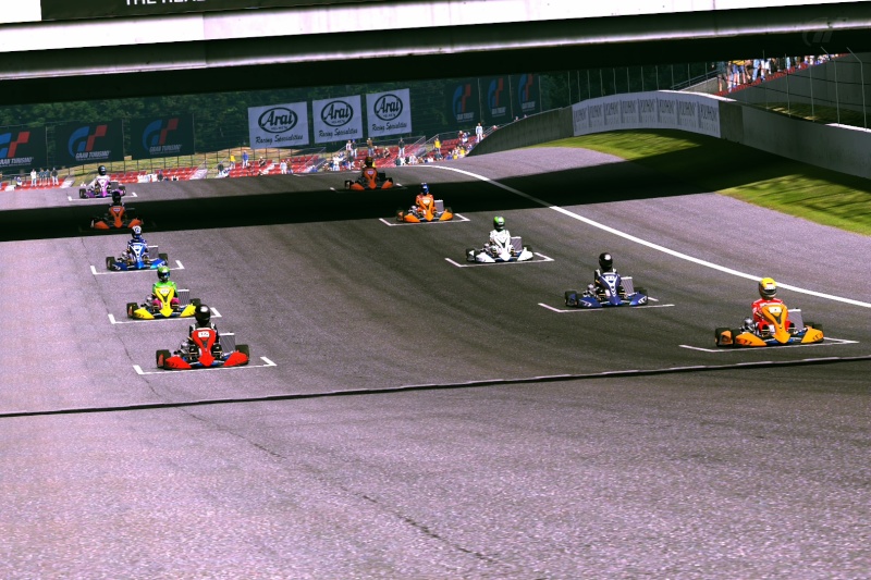 31/03/2014 - Championnat kart des furieux, courses 9&10 - Deep Forest & Ascari Deep_f10