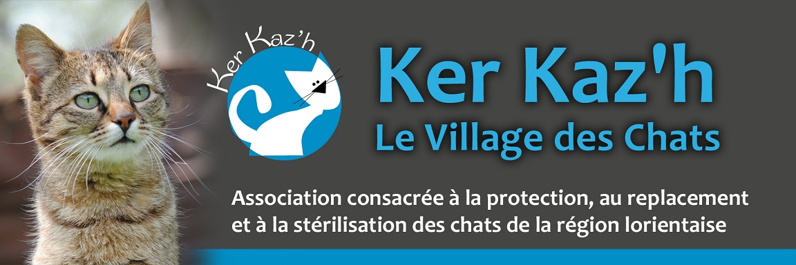 KerKaz'h Le Village des Chats