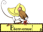 bonjour, bonjour 0bienv13