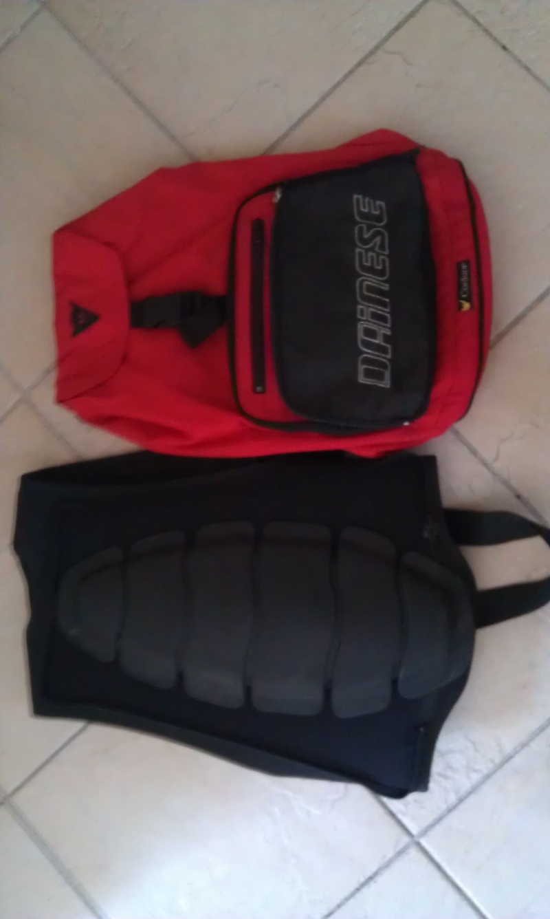 [A VENDRE] Dorsale/sac à dos DAINESE Imag0318